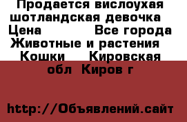 Продается вислоухая шотландская девочка › Цена ­ 8 500 - Все города Животные и растения » Кошки   . Кировская обл.,Киров г.